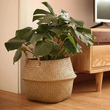WOVEN PLANT BASKET