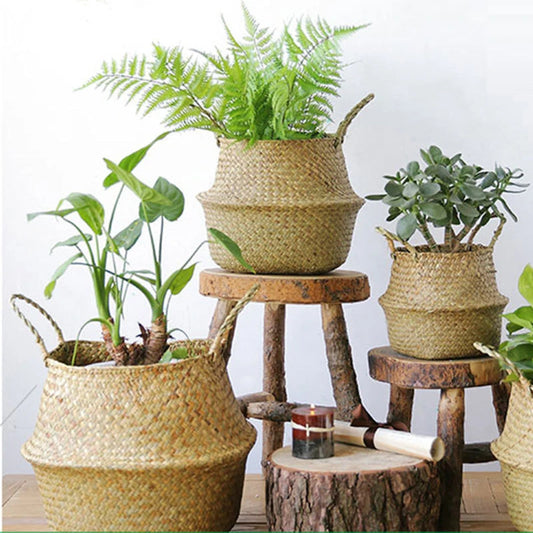 WOVEN PLANT BASKET